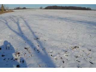 54.7 Acres with 50 tillable and 4.3 wooded.  Surrounded by heavy deer population on CRP land.  Great trophy deer hunting on established food plots.  Hunting tower.

Receive income on tillable acres while abundance of deer hunting on established food plot. - Great Investment Opportunity - Tillable Land, Recreation & Building Site